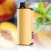 ALIBARBAR INGOT Peach Ice disposable vape, 9000 puffs e-cig, adult disposable vape, long-lasting disposable e-cig, premium flavored vape, smooth tropical hits, menthol disposable e-cig, portable Peach Ice vape, hassle-free vape, travel disposable vape, Peach Ice adult e-cig, fruity menthol vape, backup disposable vape, high-capacity disposable vape, Peach Ice flavor e-cig, compact disposable vape, long-lasting fruit vape, tropical fruit disposable vape, icy peach vape, premium disposable e-cig, on-the-go vape, convenient adult vape, Peach Ice vaping experience, smooth hit disposable, disposable vape for travel, menthol fruit disposable, portable premium e-cig, hassle-free Peach Ice e-cig, long-lasting flavor vape, adult vape 9000 puffs, Peach Ice tropical hits, backup e-cig for adults, fruit-flavored disposable, compact long-lasting disposable, all-day disposable vape, travel-friendly Peach Ice vape, party disposable e-cig, flavorful adult vape, high-puff disposable, menthol peach disposable, top-rated disposable e-cig, premium fruity e-cig, Peach Ice vape for commuting, smooth vaping experience, long-lasting disposable e-cig pack, portable menthol disposable, adult vape Peach Ice, tropical menthol disposable, hassle-free adult disposable, 9000 puff Peach Ice vape, premium portable e-cig, flavor-rich disposable e-cig, adult travel vape, Peach Ice e-cig pack, convenient long-lasting disposable, smooth icy fruit vape, backup adult disposable, travel and party Peach Ice vape, portable flavor-packed e-cig